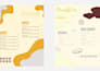 design a modern and editable email newsletter layout